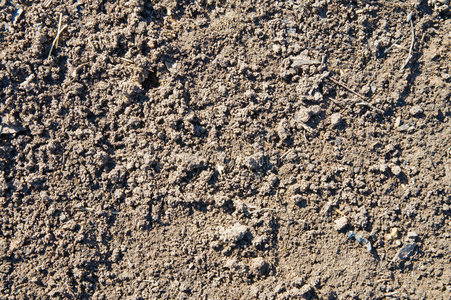 的人蓝色med采用a采用舍夫沙万,粗腐殖质孤立的腐殖质层层土壤教育图