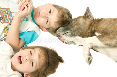 儿童和狗