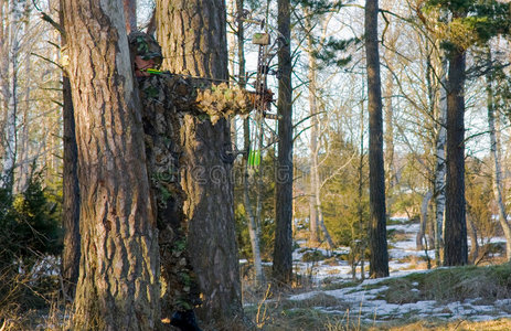 弓箭狩猎图片 弓箭狩猎素材 弓箭狩猎插画 摄图新视界
