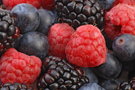 水果浆果2