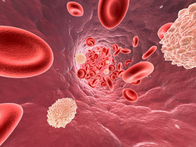 流动的血液照片