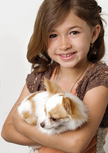 可爱的小女孩抱着她的小狗兽医医生抱着英国只猫和抚摸头兽医医生抱着