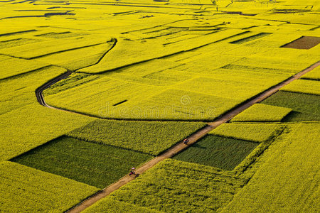 乡村田地图片-乡村田地素材-乡村田地插画-摄图新视界