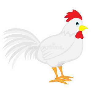 可爱的白色卡通公鸡照片