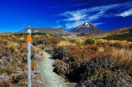 ngauruhoe火山tongariro np