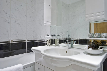 白色经典浴室，带有装饰元素