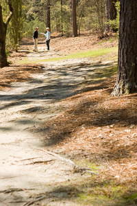 阳光自然步道