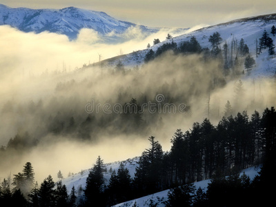 有山的山谷里的雾