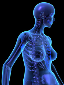 女性人体及骨骼的x线表现