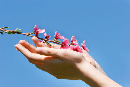 手中的桃花图片