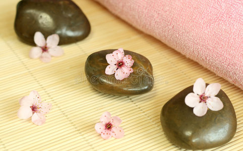 石头和粉色花朵组成的水疗中心