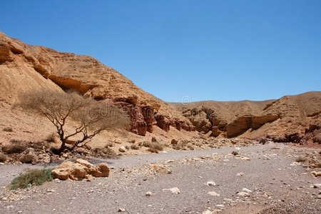 红色峡谷的沙漠景观