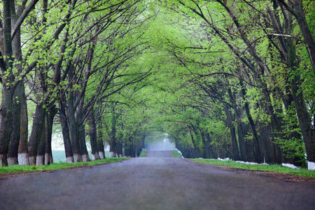 乡间小路