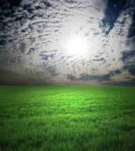 绿草地和暴风雨的天空