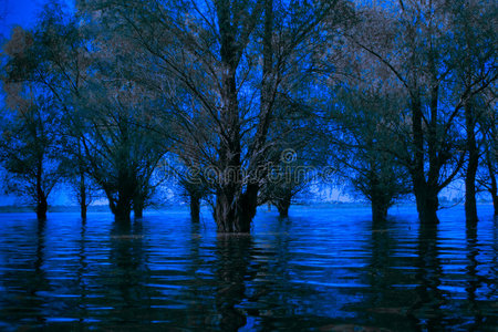 令人毛骨悚然的蓝色多瑙河三角洲淹没森林