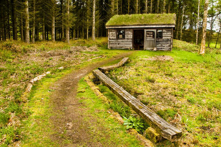 哦林中那间小屋简谱图片