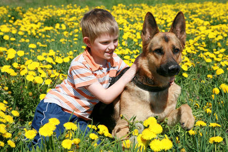 男孩，狗和黄色的草地。
