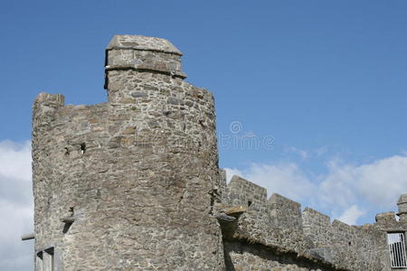 罗斯城堡细节
