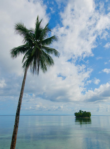 热带岛屿海洋，天空和棕榈树
