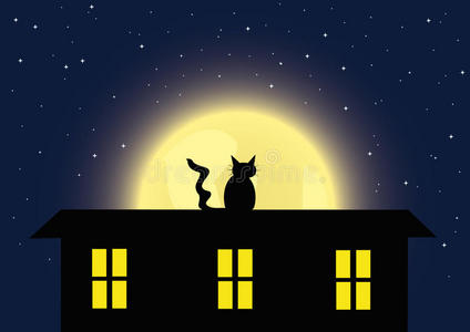 午夜 插图 城市 猫科动物 哺乳动物 每股收益 动物 风景