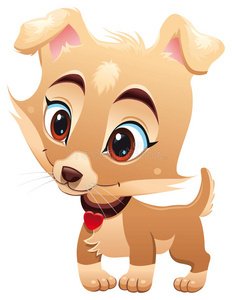 草地上有趣的小狗一群有趣的斯皮茨小狗大眼睛大耳朵的有趣小狗两个有