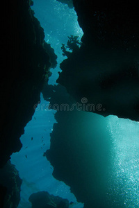 深渊极限潜水图片