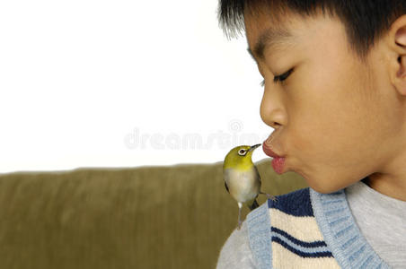 男孩和鸟男孩和小鸟照片