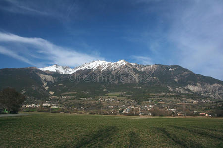 阿尔卑斯山的草地