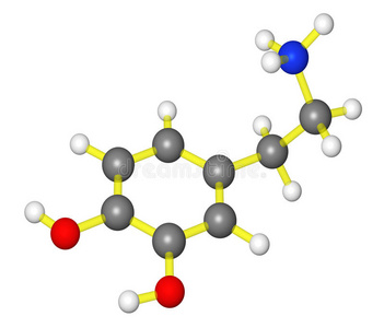 多巴胺多巴胺的分子模型照片
