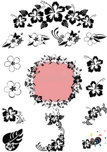 春天 条纹 卡通 粉红色 咕哝 自然 夏威夷 卷曲 木槿