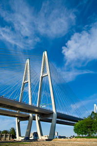跨江斜拉桥图片