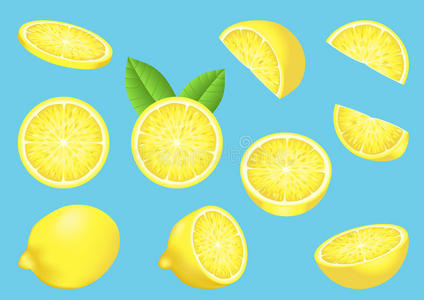 孤立柠檬矢量图像
