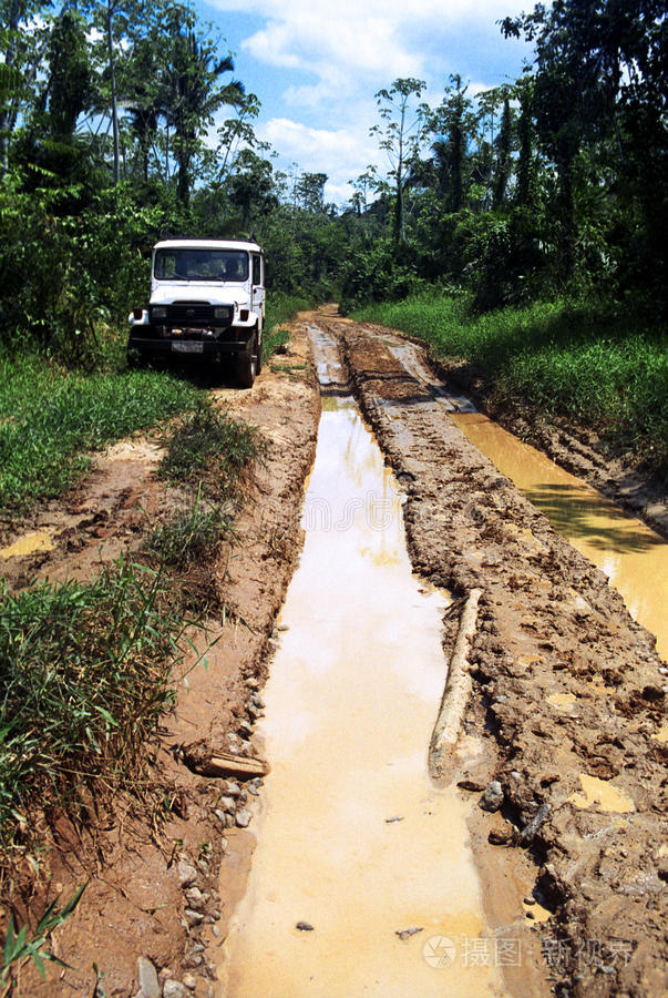 亚马逊森林泥泞小路上的越野车