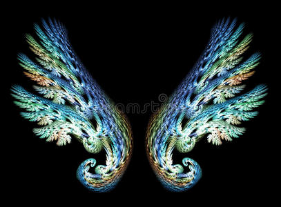 两个翅膀的山雀图片