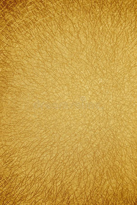 金色蜘蛛网照片