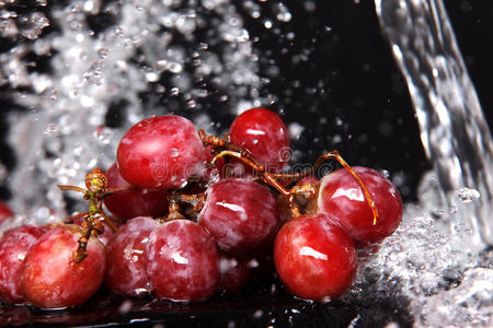 水下葡萄