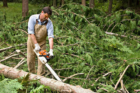 公园的改进图片