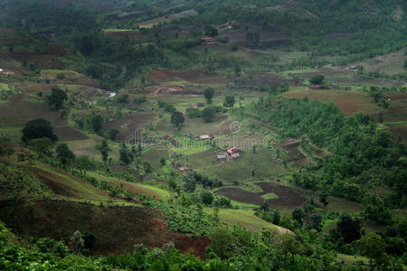 绿色山谷，山谷，印度