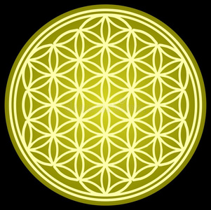 生命之神圣几何学照片