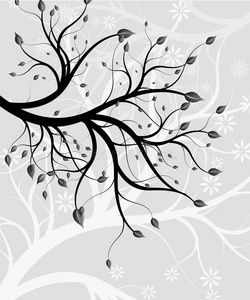 抽象背景-一棵优美的树枝照片