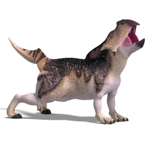 恐龙原角龙照片