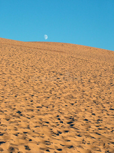 沙丘上的月亮图片