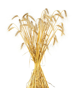 麦秸图片
