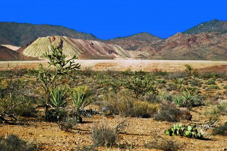 亚利桑那州景观