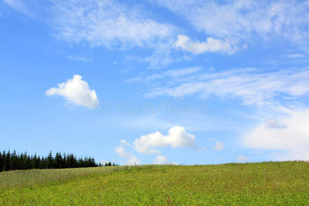 夏季景观