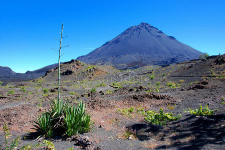 佛得角佛哥岛上的佛哥火山非洲