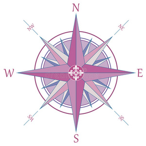 复古风玫瑰指南针插画