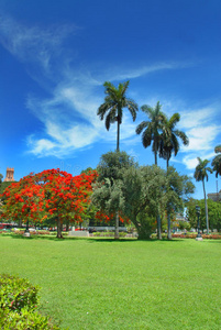 哈瓦那博爱公园