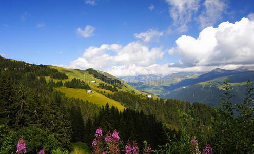 阿尔卑斯山风景区图片