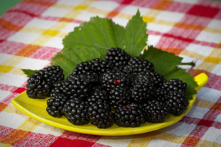一盘黑莓